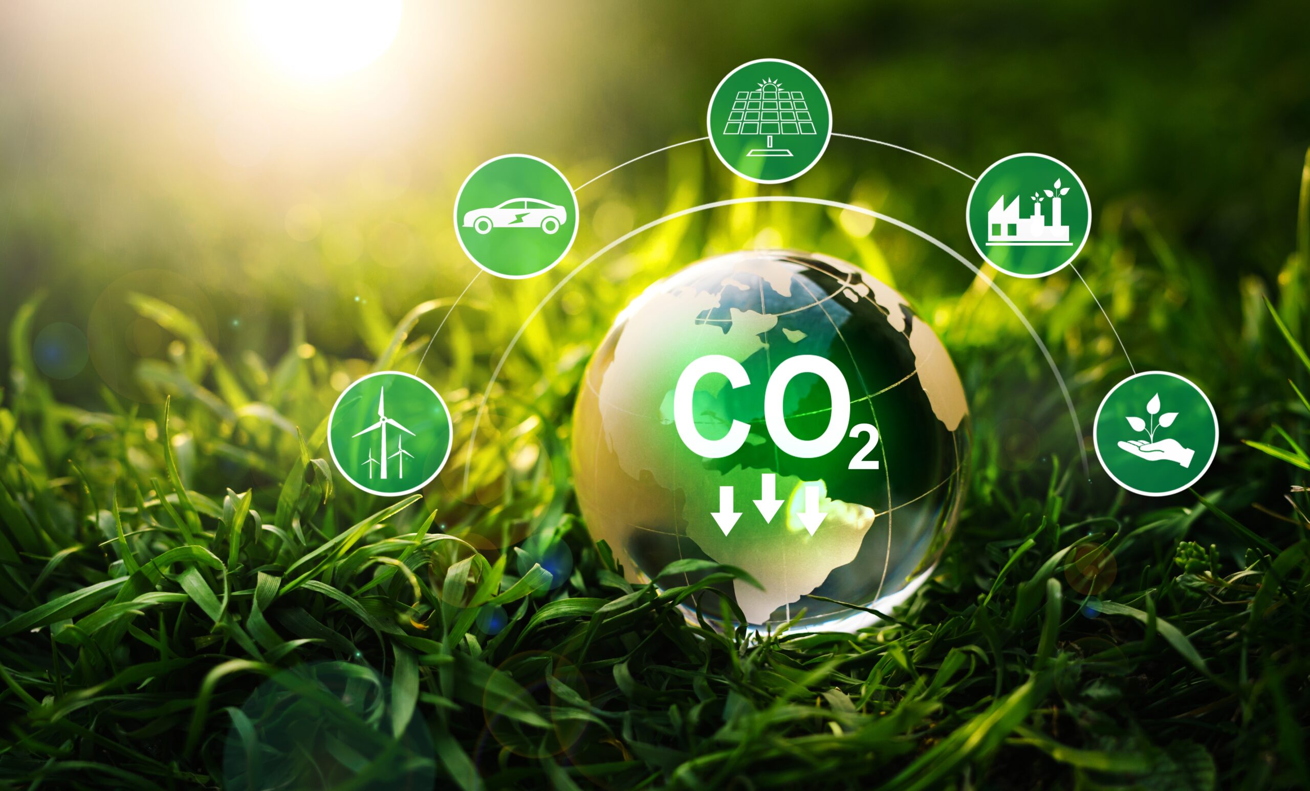 Redução de carbono: o que as pequenas empresas podem fazer pela causa?